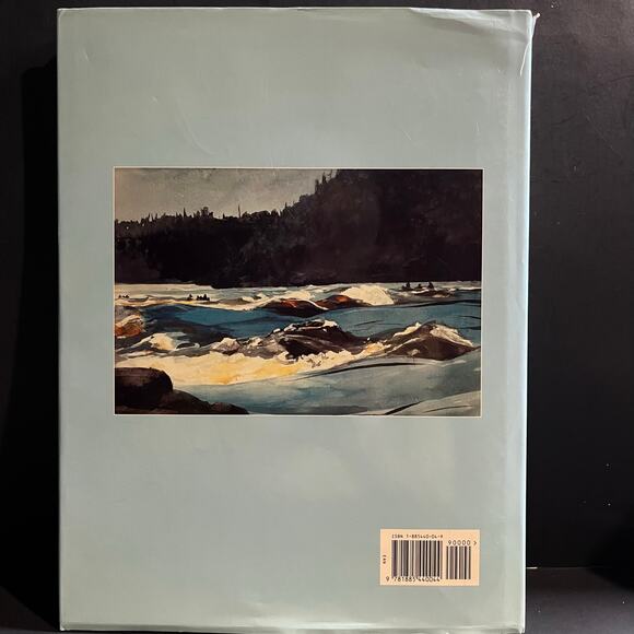 Winslow Homer: His Art, His Light, His Landscapes by Carl Little 1995, Hardcover - Picture 2 of 7